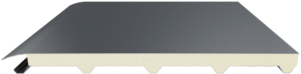 5 hadveli membrane çatı paneli